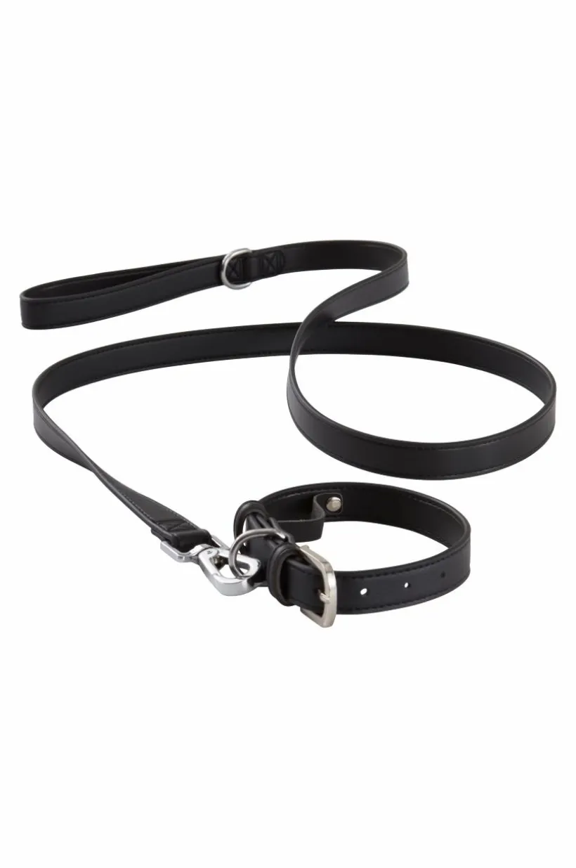 INU Hundhalsband/katthalsband